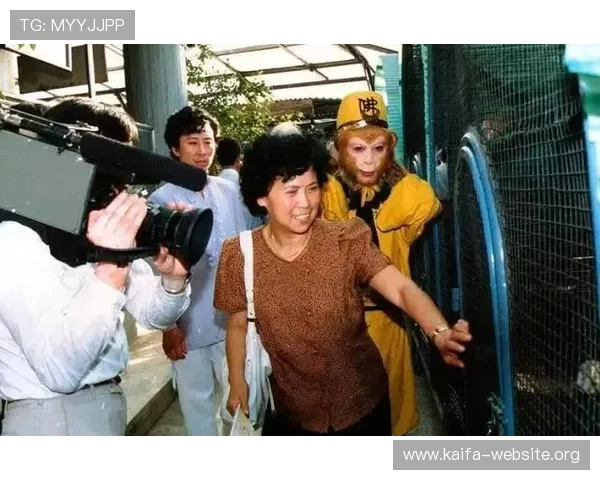 如何通过K8体育网站参与各类体育竞猜活动获得更多奖励